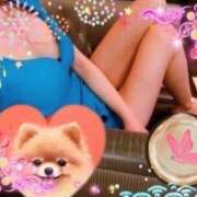 ヒメ日記 2025/09/12 13:00 投稿 ラビ スイートガール