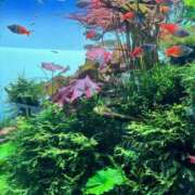 ヒメ日記 2025/07/01 18:33 投稿 ハル ミセスClub