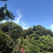 ヒメ日記 2025/07/21 20:50 投稿 さとみ ふぞろいの人妻たち