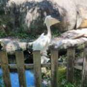 ヒメ日記 2025/07/28 15:20 投稿 さとみ ふぞろいの人妻たち