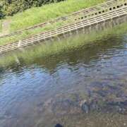 ヒメ日記 2025/08/20 18:50 投稿 さとみ ふぞろいの人妻たち