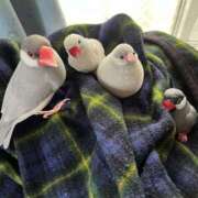 ヒメ日記 2025/09/16 09:50 投稿 さとみ ふぞろいの人妻たち