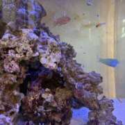 ヒメ日記 2025/09/26 16:30 投稿 さとみ ふぞろいの人妻たち