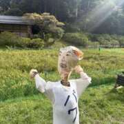 ヒメ日記 2025/10/03 14:10 投稿 さとみ ふぞろいの人妻たち