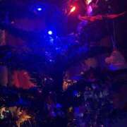 ヒメ日記 2025/12/23 09:20 投稿 さとみ ふぞろいの人妻たち