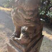 ヒメ日記 2026/01/05 19:14 投稿 さとみ ふぞろいの人妻たち