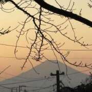 ヒメ日記 2026/01/07 16:50 投稿 さとみ ふぞろいの人妻たち