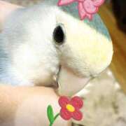 ヒメ日記 2026/01/22 07:30 投稿 さとみ ふぞろいの人妻たち