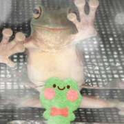 ヒメ日記 2026/01/29 11:10 投稿 さとみ ふぞろいの人妻たち