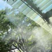 ヒメ日記 2025/07/04 15:15 投稿 あいす 奥鉄オクテツ東京店（デリヘル市場）