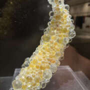 ヒメ日記 2025/07/06 12:40 投稿 あいす 奥鉄オクテツ東京店（デリヘル市場）