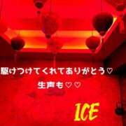 ヒメ日記 2025/11/27 13:35 投稿 あいす 奥鉄オクテツ東京店（デリヘル市場）