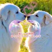 ヒメ日記 2026/01/14 15:10 投稿 あいす 奥鉄オクテツ東京店（デリヘル市場）