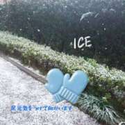 ヒメ日記 2026/03/10 09:20 投稿 あいす 奥鉄オクテツ東京店（デリヘル市場）