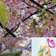 ヒメ日記 2026/03/13 18:50 投稿 あいす 奥鉄オクテツ東京店（デリヘル市場）