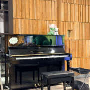 ヒメ日記 2026/03/31 15:00 投稿 あいす 奥鉄オクテツ東京店（デリヘル市場）