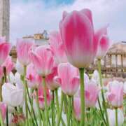 ヒメ日記 2026/04/06 11:45 投稿 あいす 奥鉄オクテツ東京店（デリヘル市場）