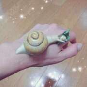 ヒメ日記 2025/07/15 11:39 投稿 せな 熟女の風俗最終章 新潟店