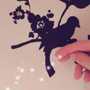 ヒメ日記 2025/07/17 11:09 投稿 せな 熟女の風俗最終章 新潟店