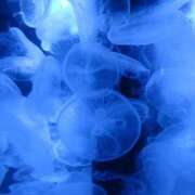 ヒメ日記 2025/07/25 10:33 投稿 せな 熟女の風俗最終章 新潟店