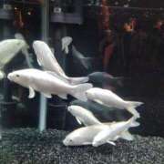 ヒメ日記 2025/09/04 14:49 投稿 せな 熟女の風俗最終章 新潟店