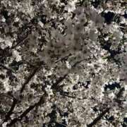 ヒメ日記 2026/04/02 22:42 投稿 じゅーしー ドM女学園大阪