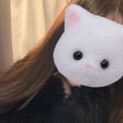 ヒメ日記 2025/12/20 14:15 投稿 かんの【奇跡のH乳美少女】 STELLA TOKYO－ステラトウキョウ－