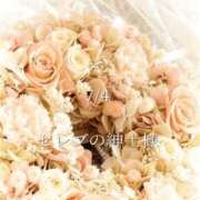 ヒメ日記 2025/07/05 20:41 投稿 春姫（はるひ）ＡＧジャングル aroma ace.