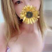 ヒメ日記 2025/07/05 19:50 投稿 しずか モアグループ神栖人妻花壇