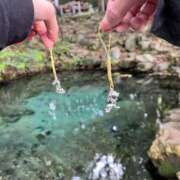 ヒメ日記 2025/07/14 14:52 投稿 しずか モアグループ神栖人妻花壇