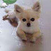 ヒメ日記 2025/08/24 13:32 投稿 しずか モアグループ神栖人妻花壇