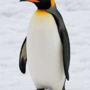 ヒメ日記 2025/10/19 18:36 投稿 しずか モアグループ神栖人妻花壇