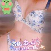 ヒメ日記 2026/01/24 00:36 投稿 しずか モアグループ神栖人妻花壇