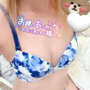 ヒメ日記 2026/01/27 02:27 投稿 しずか モアグループ神栖人妻花壇