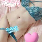 ヒメ日記 2026/02/02 03:22 投稿 しずか モアグループ神栖人妻花壇