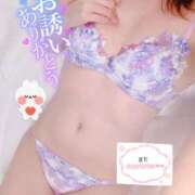 ヒメ日記 2026/03/28 01:33 投稿 しずか モアグループ神栖人妻花壇