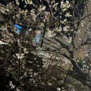 しずか [お題]from:宴会部長さん モアグループ神栖人妻花壇