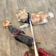 ヒメ日記 2025/08/20 22:18 投稿 末永ひなみ エステdeシンデレラ横浜（シンデレラグループ）