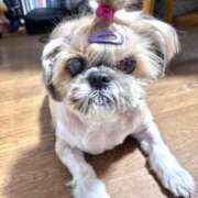 ヒメ日記 2025/09/25 22:20 投稿 末永ひなみ エステdeシンデレラ横浜（シンデレラグループ）