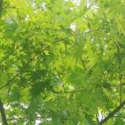 ヒメ日記 2025/07/24 07:00 投稿 ゆず 性腺熟女100％鶯谷（デリヘル市場）