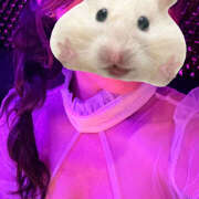 ヒメ日記 2025/10/03 19:35 投稿 らむ Hera club