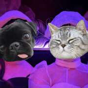 らむ 温泉ごっこ♨️ Hera club