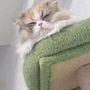 ヒメ日記 2025/12/31 22:04 投稿 神楽のあ Etoile（エトワール）