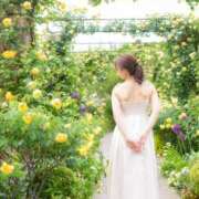 ヒメ日記 2026/07/06 10:55 投稿 神楽のあ Etoile（エトワール）