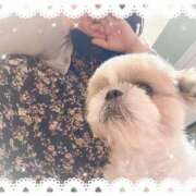 ヒメ日記 2025/08/20 20:06 投稿 つむぎ 一宮稲沢小牧ちゃんこ