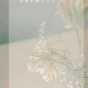 ヒメ日記 2025/09/23 22:58 投稿 つむぎ 一宮稲沢小牧ちゃんこ