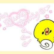 ヒメ日記 2025/10/13 14:53 投稿 希夕(きせき) 人妻城 横浜本店