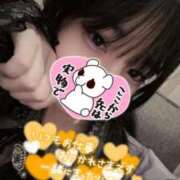 ヒメ日記 2025/10/14 17:13 投稿 みお 秋葉原コスプレ学園in仙台