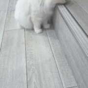 ヒメ日記 2025/12/16 13:13 投稿 みお 秋葉原コスプレ学園in仙台