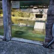 ヒメ日記 2025/08/03 22:52 投稿 あゆみ 柏人妻花壇